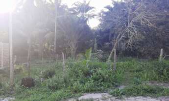 Imagem 2: Terreno 200m² na Ilha de Boipeba - Bairro Tiririca - Sossego e Natureza