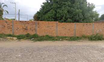 Imagem 4: Vendo Terreno (17,3 m x 26,3 m ) na Avenida Rosana Neres com a Rua 14 do Parque Brasil IV