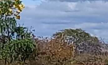 Imagem 7: Chácara 5 mil metros as margens do Ribeirão