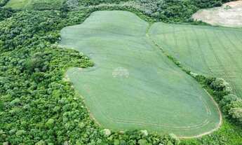 Imagem 3: Vendas Chácara Almirante Tamandaré PR