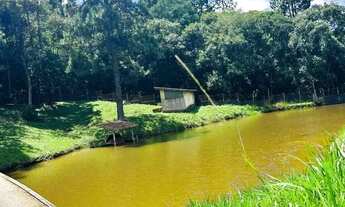 Imagem 6: Viva com Qualidade de Vida: Terreno em Ibiúna, Próximo à Natureza e Lazer!