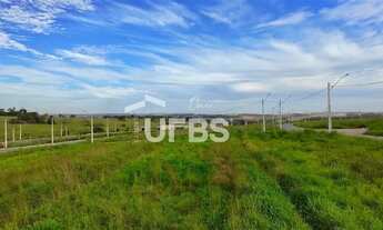 Imagem 8: Lote Vinhas Flamboyant