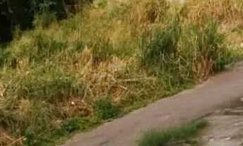 Imagem 6: Taquara pau da fome 200m2 de esquina