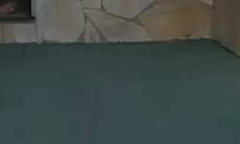 Imagem 3: Aluga-se kitinet para mulheres