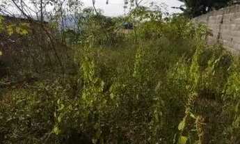 Imagem 7: OPORTUNIDADE Terreno / lote com venda por R$458.000