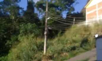 Imagem 5: Taquara pau da fome 200m2 de esquina