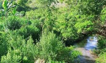 Imagem 2: Chacara em Anicuns - 80 km de Goiânia