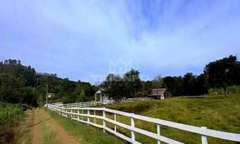 Imagem 3: Sítio de 3 hectare com duas casas.!!!