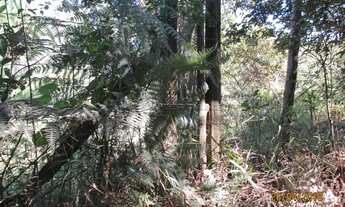 Imagem 3: Campo Limpo Paulista - Lote/Terreno - Estância São Paulo