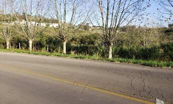 Imagem 4: EXCELENTE AREA PARA SITIO