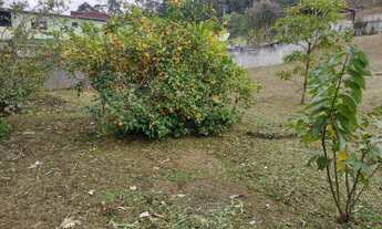 Imagem 6: Terreno com Excelente topografia. Quarta Divisão, Ribeirão Pires - SP