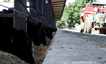 Imagem: Fazenda dupla aptidão, Porteira Fechada