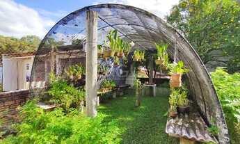 Imagem 6: Porto Alegre - Casa Padrão - Jardim Sabará