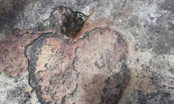 Imagem 5: Conheça o Moendas Ecopark o melhor empreendimento do momento