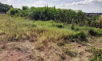 Imagem 6: Terreno para chácara