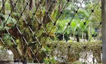 Imagem 5: Casa à venda, Lapa, São Paulo