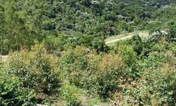 Imagem 6: AG Bom negocio Terreno / lote com venda por R$35.000