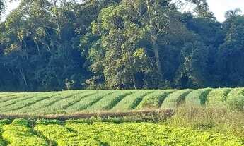 Imagem 3: LOTE DE 1000M² PARA FAZER COMÉRCIO FORA DE CONDOMÍNIO