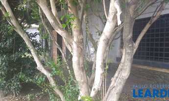 Imagem 2: TERRENO - BROOKLIN - SP