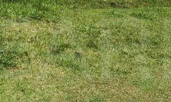 Imagem 3: TERRENO EM CONDOMÍNIO - ALPHAVILLE - SP