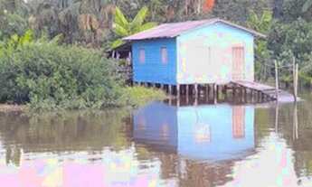 Imagem: Vendo Casa Com Terreno Na Ilha Rasa