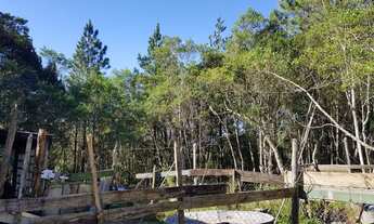 Imagem 5: Sítio em embuguacu