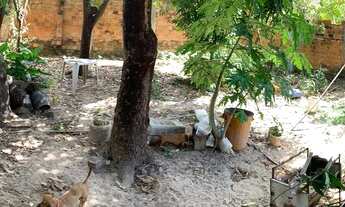 Imagem 4: Vendo casa na pedra mole