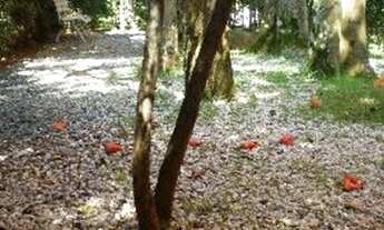 Imagem 3: SÃO PAULO - Apartamento Padrão - PINHEIROS