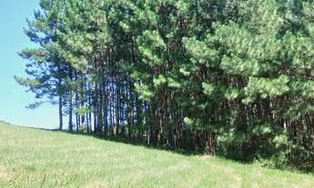 Imagem: Chácara de 2 Hectares com riacho na parada