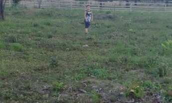 Imagem 4: Vendo esse lindo sitio estrada de Balbina . Valor 120 mil