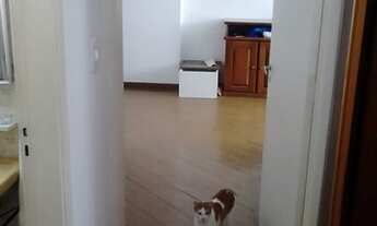 Imagem 4: APARTAMENTO - VILA OLÍMPIA - SP