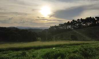 Imagem 6: Lote\terreno, não perca a oportunidade de comprar o terreno do seus sonhos, nazaré paulis