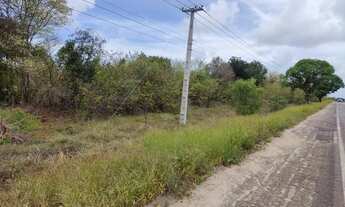 Imagem 4: Vendo 5,5 hectares beira pista vista mar