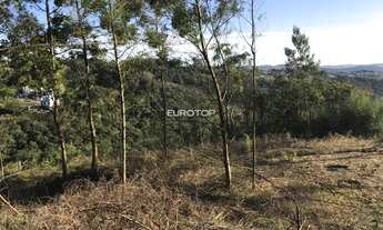 Imagem 3: Amplo terrenos no Santo Antão com vista privilegiada!