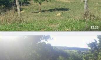 Imagem 3: Vende-se uma excelente fazenda 25 Alqueires