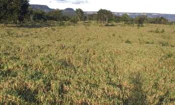 Imagem 7: Fazenda para Venda em Miracema do Tocantins, Miracema, 4 dormitórios, 2 suítes, 3 banheiro