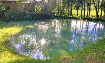 Imagem 3: Linda Chácara de 8000 m2 com Choupana em Agrolândia SC