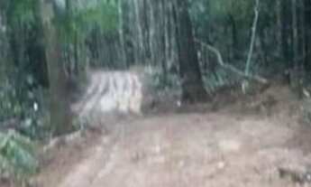 Imagem 6: Chácara em Morretes 35mil vista