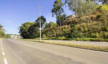 Imagem 2: Ref.: 9170 - Lote ou Terreno - Salvaterra