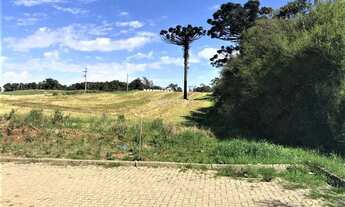 Imagem 2: Excelente terreno em um dos pontos mais altos de Garibaldi!