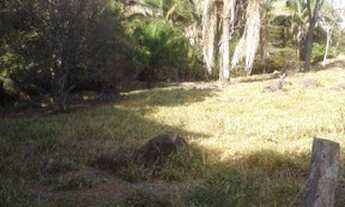 Imagem 2: Fazenda Serra de São vicente - Venda 91 km de Cuiabá