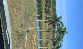 Imagem 2: Vendo terreno beira de furnas