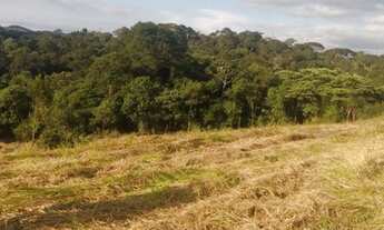 Imagem 3: Lote/Terreno para venda possui 600 metros quadrados em Centro - Guarulhos - SP