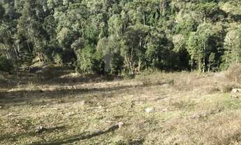 Imagem 3: Chácara para Venda em Centro Bocaiúva do Sul-PR - 550