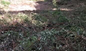 Imagem 5: Vendo lote Terreno / lote com venda por R$200.000