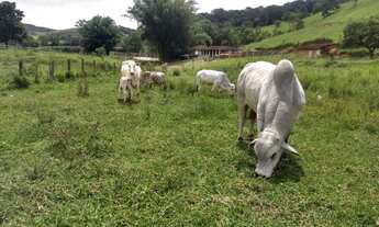 Imagem: Sitio em lagoinha s.p 17 alqueires 1.900.000.00