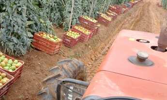 Imagem 2: RIBEIRÃO BRANCO - RURAL - Zona Rural