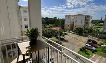 Imagem 4: Porto Alegre - Apartamento Padrão - Humaitá