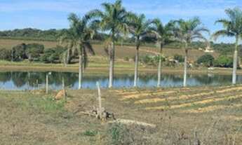 Imagem 5: Vendo terreno beira de furnas