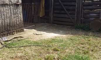 Imagem 5: Sítio com 3 dormitórios à venda, 92000 m² por R$ 850.000 - Zona Rural - Ouro Fino/MG